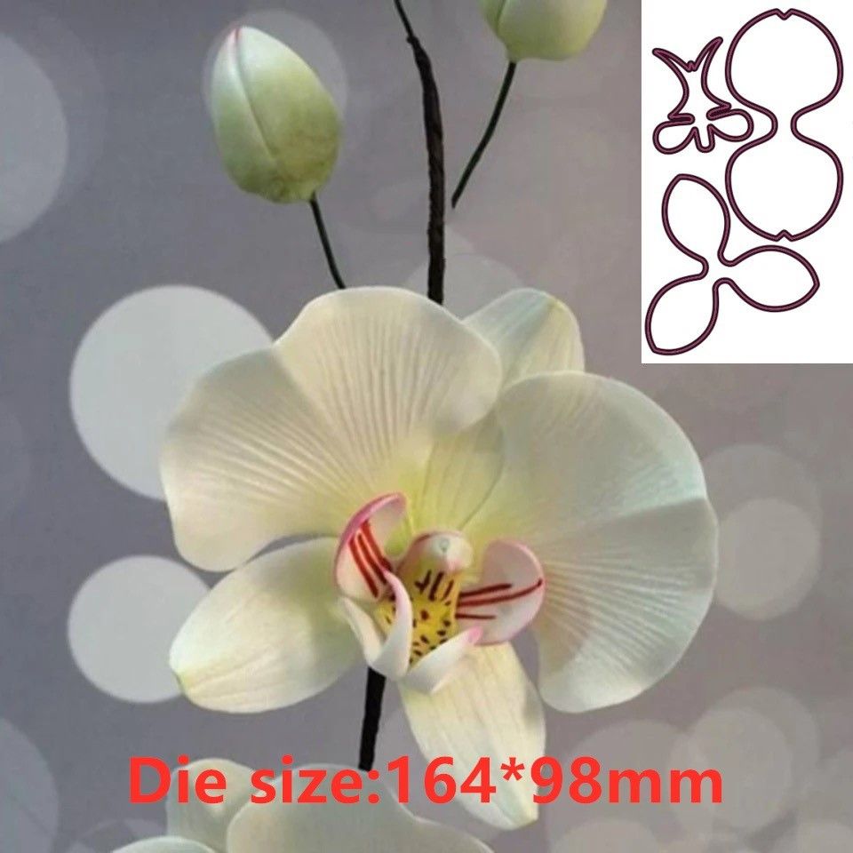 Orchid Phalaenopsis - Matrices découpées en métal fleur d'orchidée,