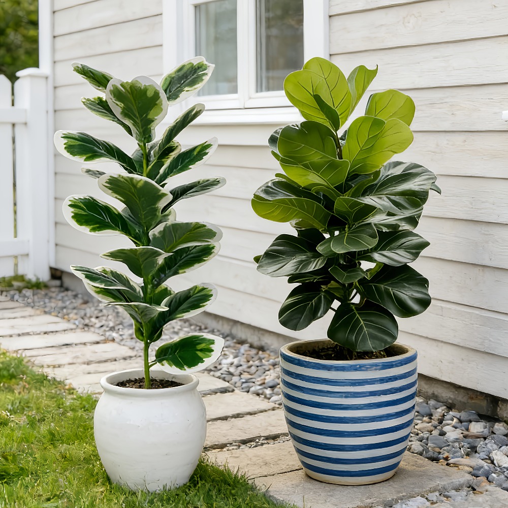 Fiddle Leaf Fig - Arbres artificiels de banian d'extérieur, plantes
