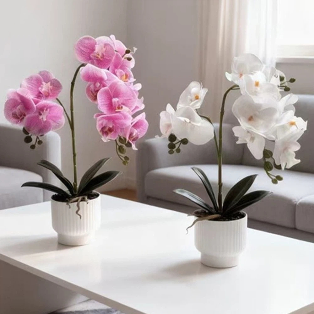 Orchidée Papillon Artificielle - Orchid Phalaenopsis avis et prix