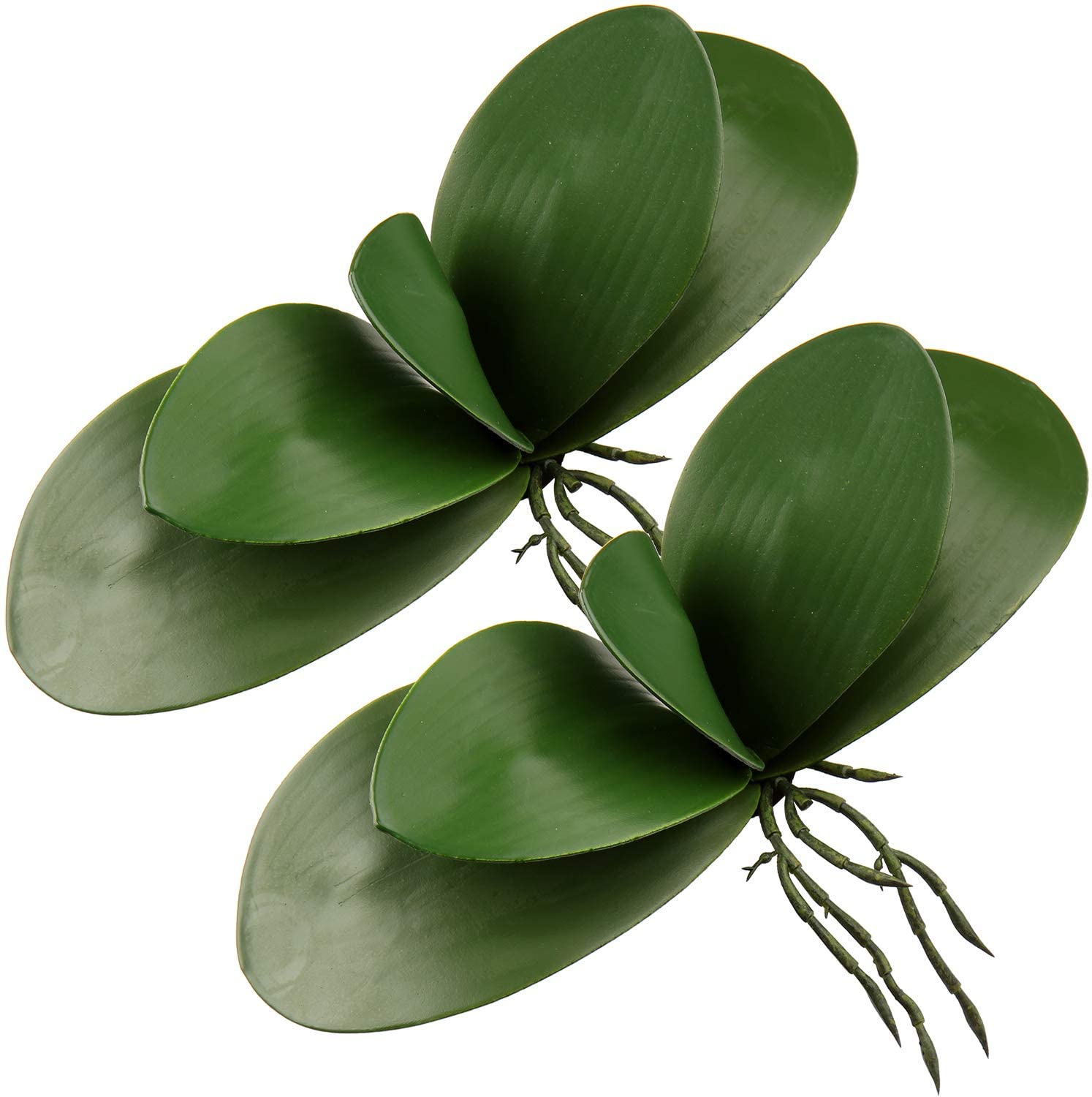 Feuilles Artificielles Phalaen - Orchid Phalaenopsis avis et prix