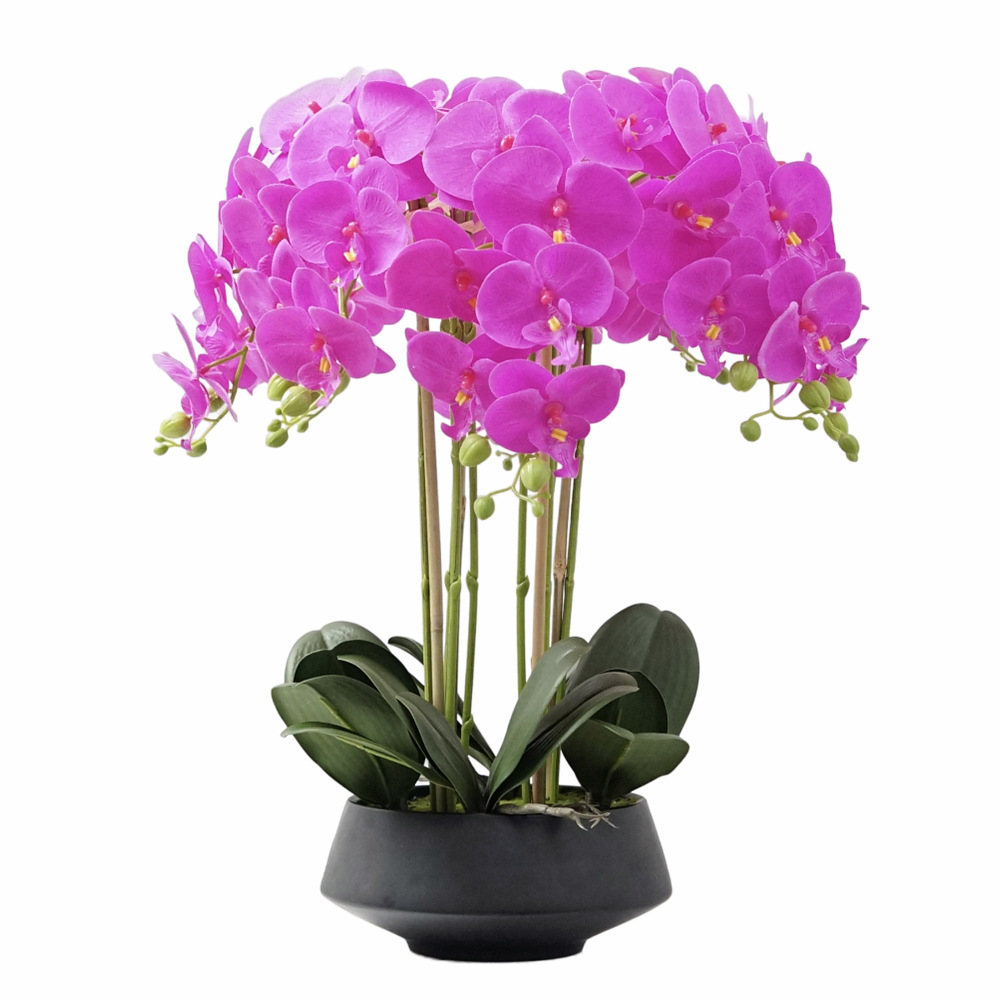 Phalaenopsis artificielle en p - Orchid Phalaenopsis avis et prix