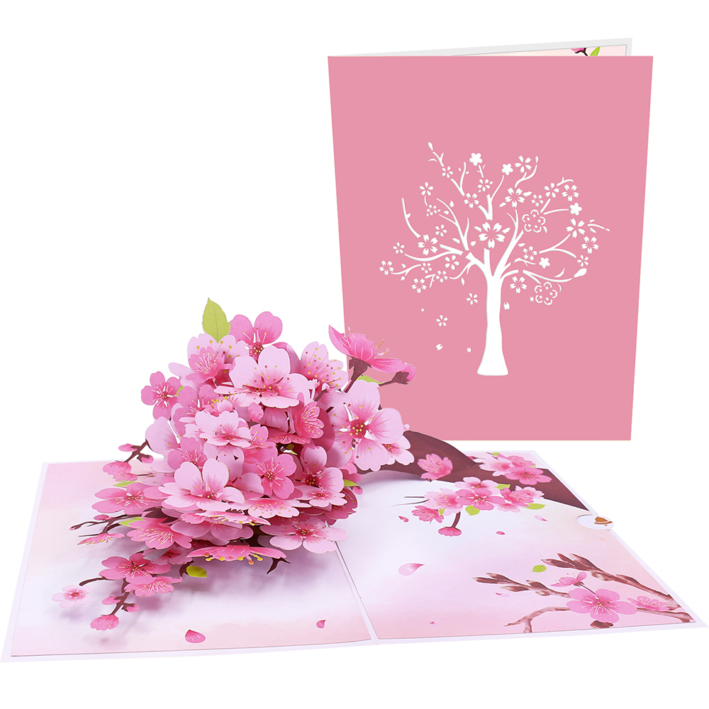 Carte de vœux pop-up avec orch - Orchid Phalaenopsis avis et prix