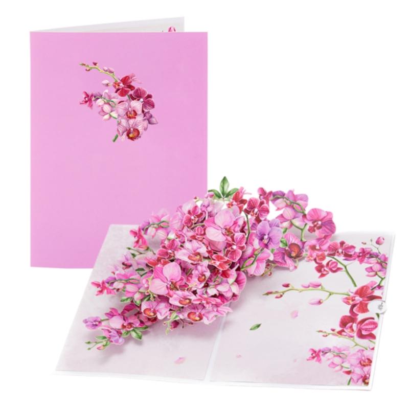 Carte de vœux pop-up avec orch - Orchid Phalaenopsis avis et prix
