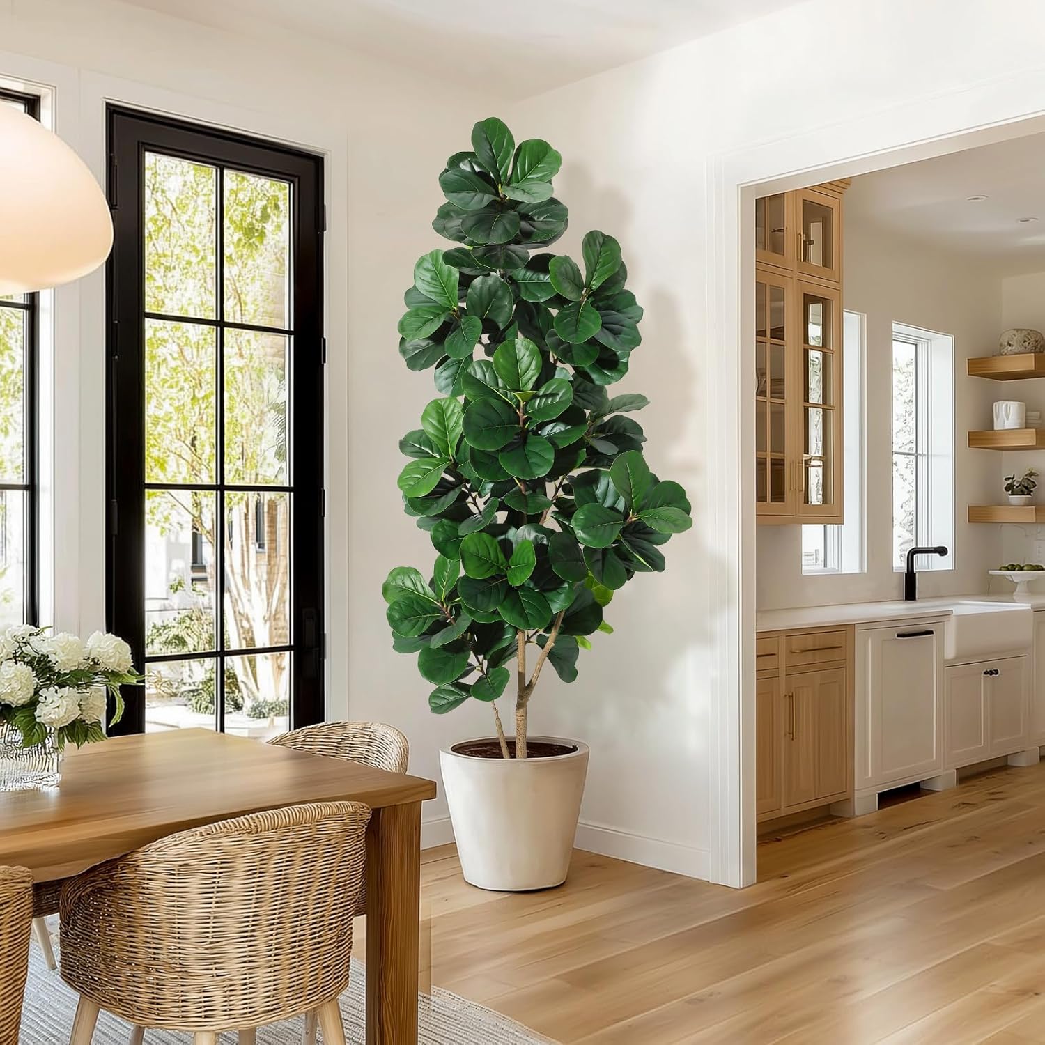 Arbre de figue en feuille de v - Fiddle Leaf Fig avis et prix