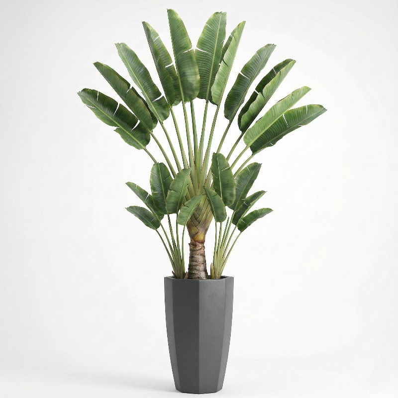 Ficus Lyrata Artificiel Hautem - Fiddle Leaf Fig avis et prix