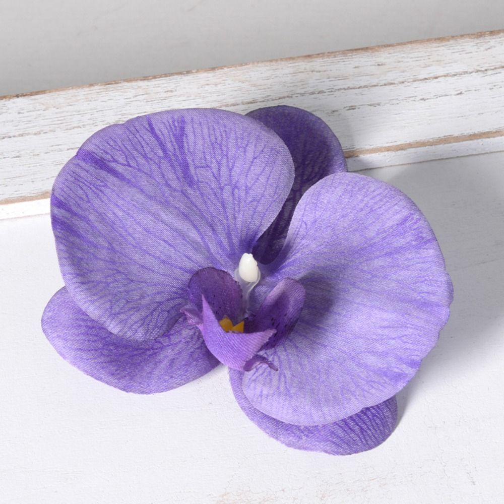 Tête de fleur de phalaenopsis  - Orchid Phalaenopsis avis et prix