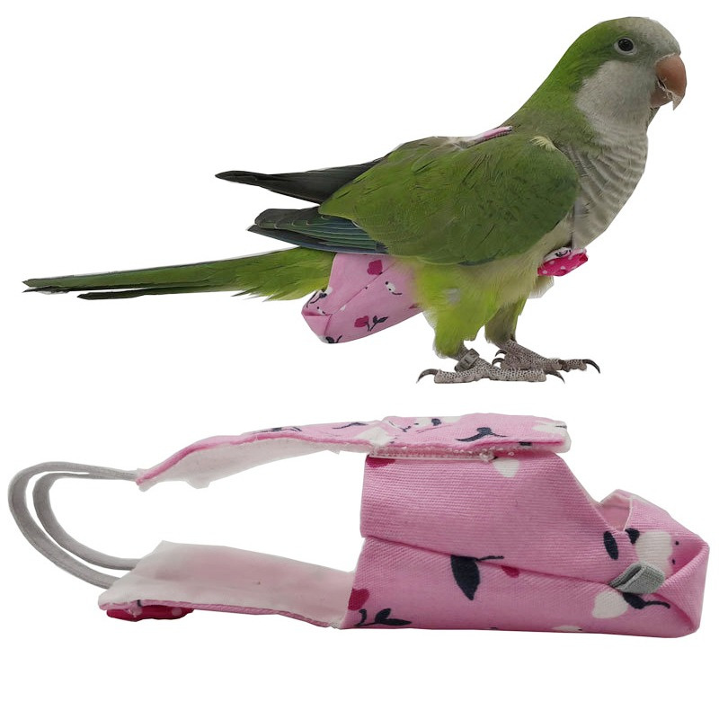 Couche-culotte pour perroquet  - Plant Parenthood avis et prix