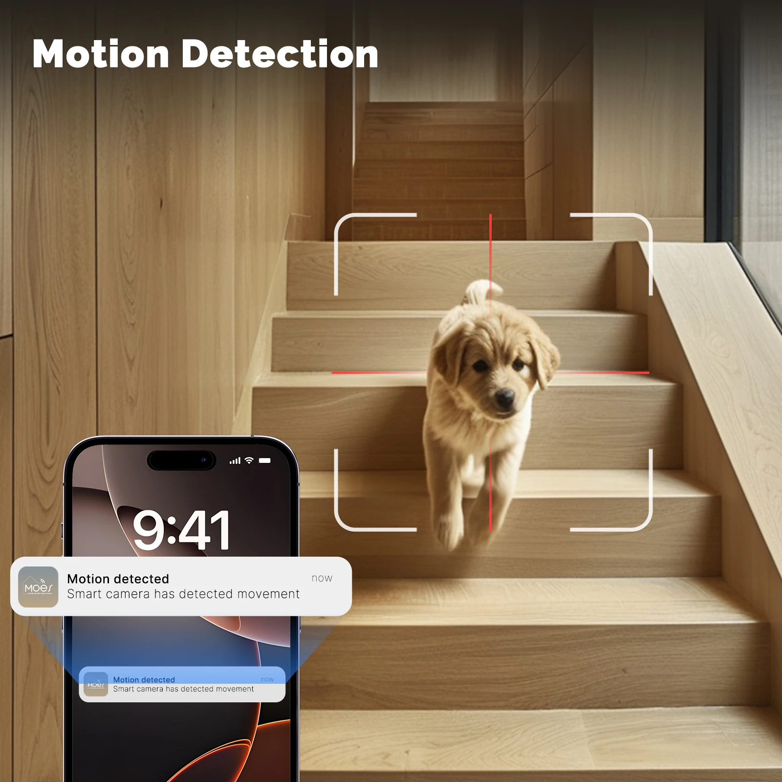 Moes Tuya WiFi caméra intellig - Eufy Camera E220 avis et prix