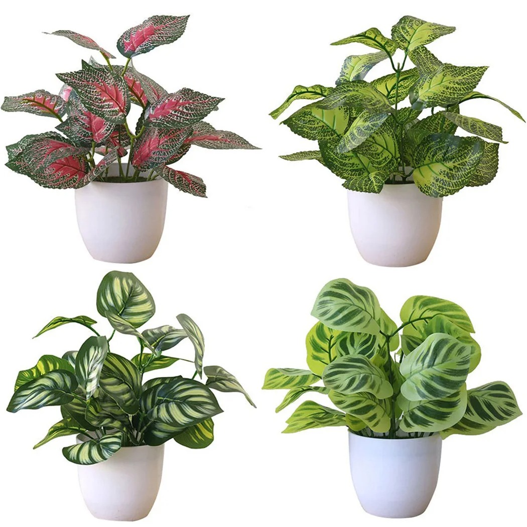 Pot de plantes à feuillage art - Fiddle Leaf Fig avis et prix