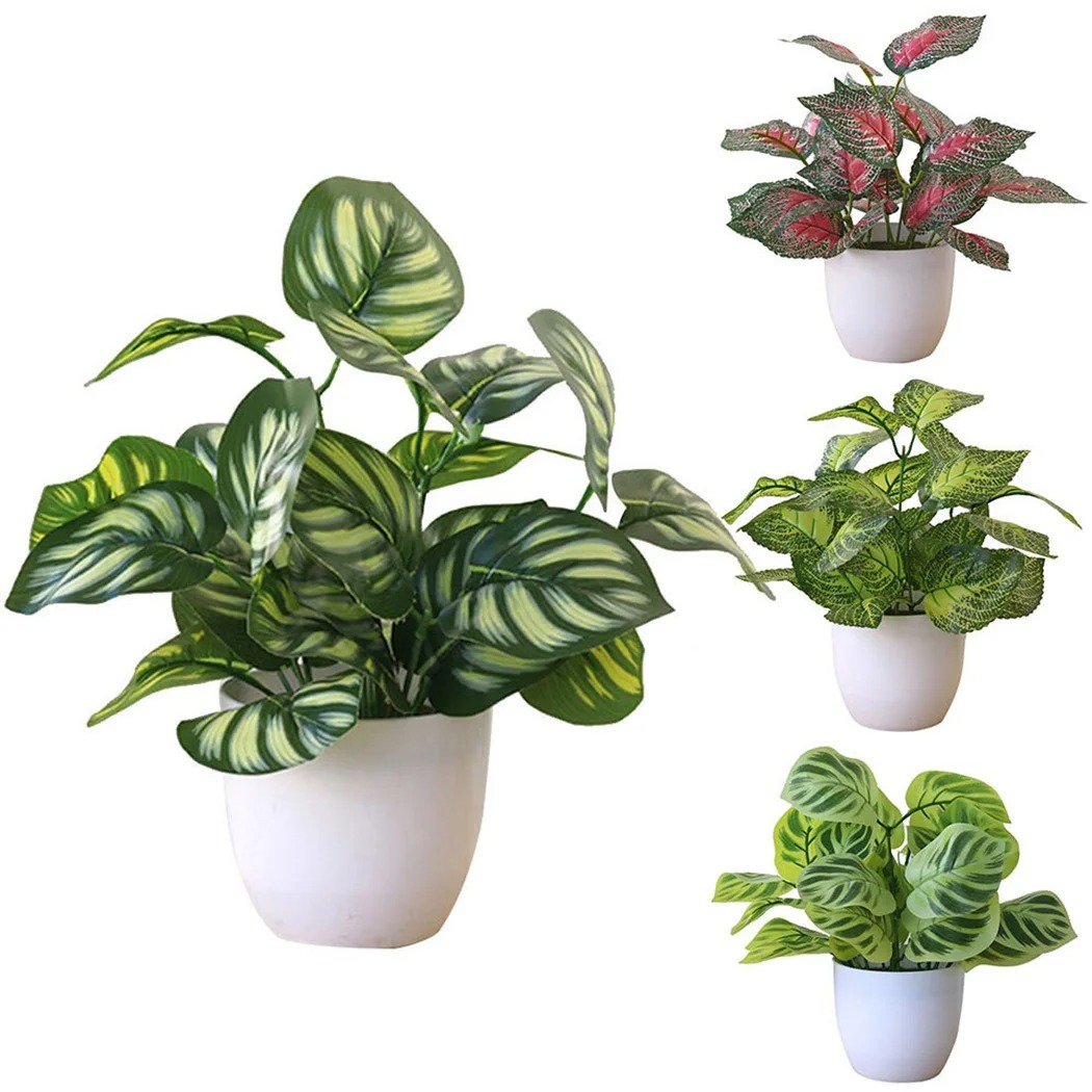 Pot de plantes à feuillage art - Fiddle Leaf Fig avis et prix