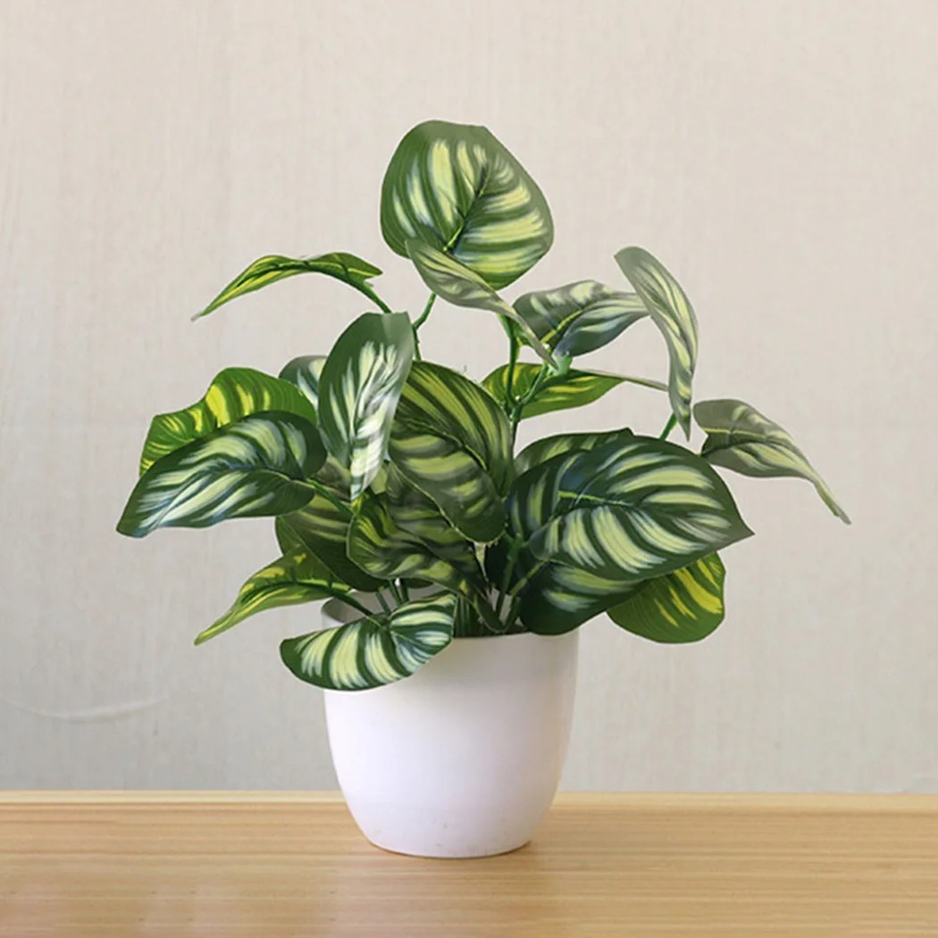 Pot de plantes à feuillage art - Fiddle Leaf Fig avis et prix